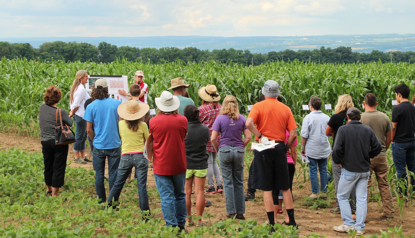 A group of people listening to a presenter at the edge of a corn field