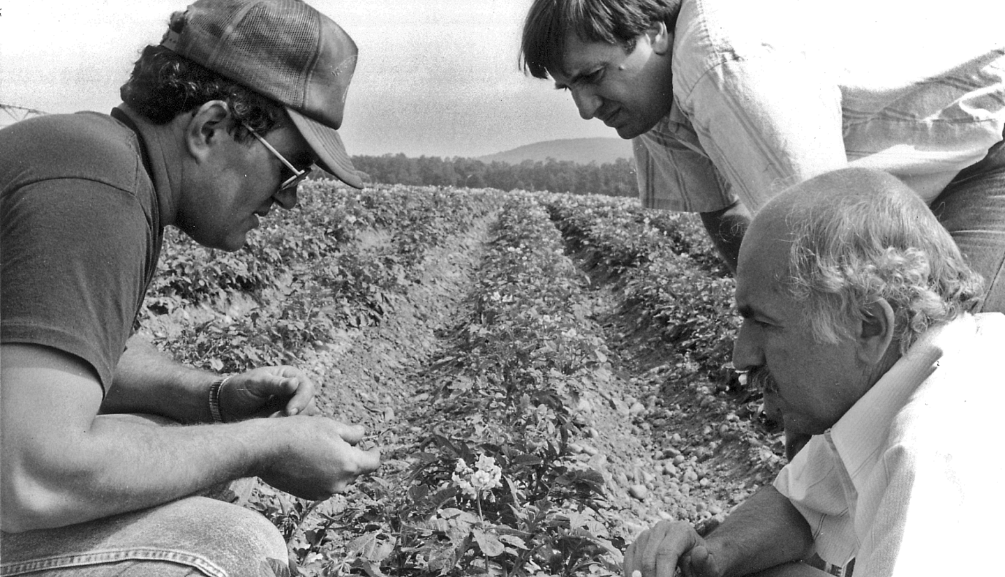black and white photo of people scouting in a field