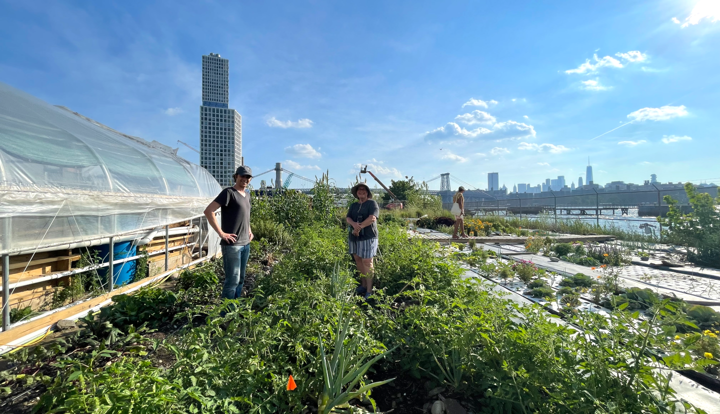 two people on a rooftop farm with a city skyline in the distance