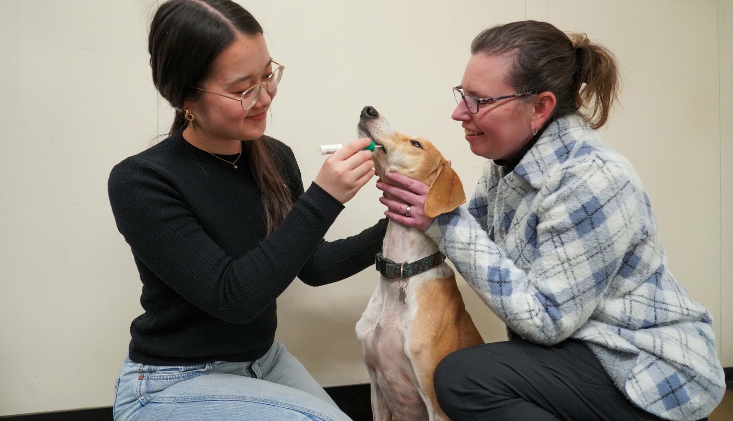 a woman holds a dog still while another woman swabs the dog's mouth