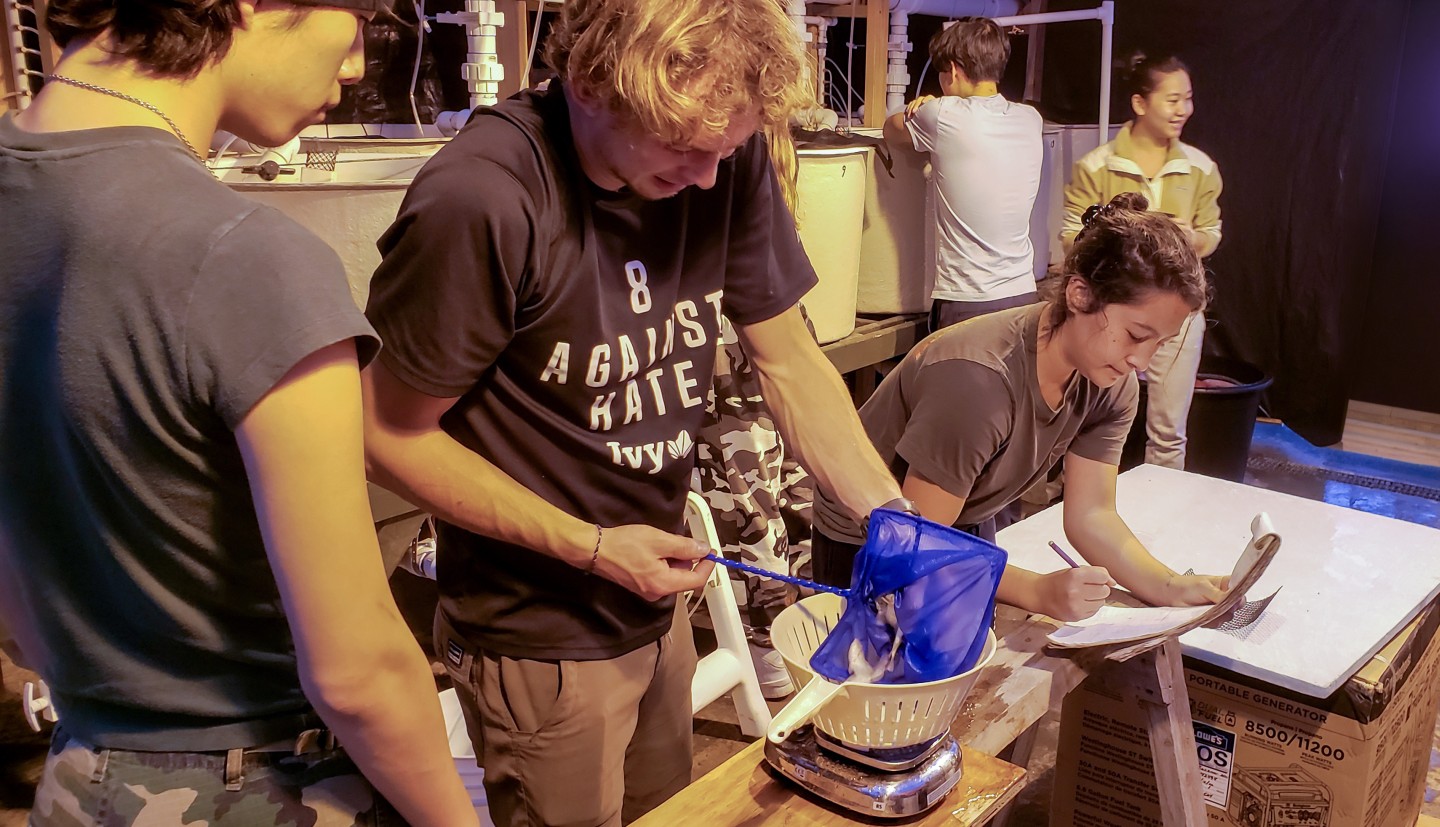 two men weigh something on a scale while a woman writes in a notepad and other people stand in the background