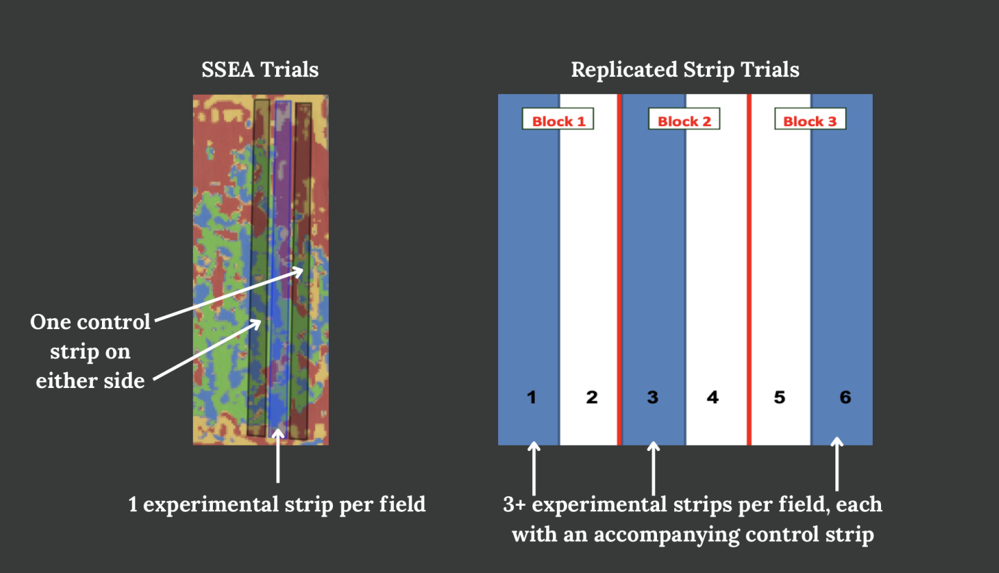 A figure compares the difference between SSEA trials and replicated strip trials.