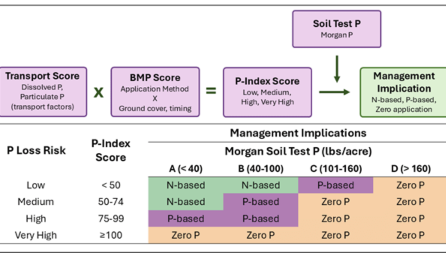 A graphic shows the P-Index 2.0 calculation and the management implications.