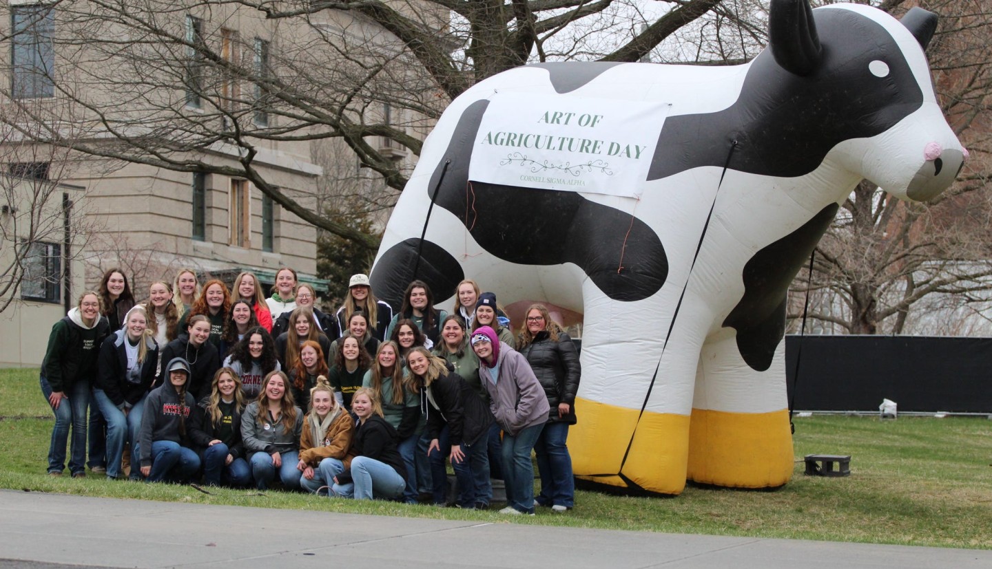 Students posing with an inflatable cow
