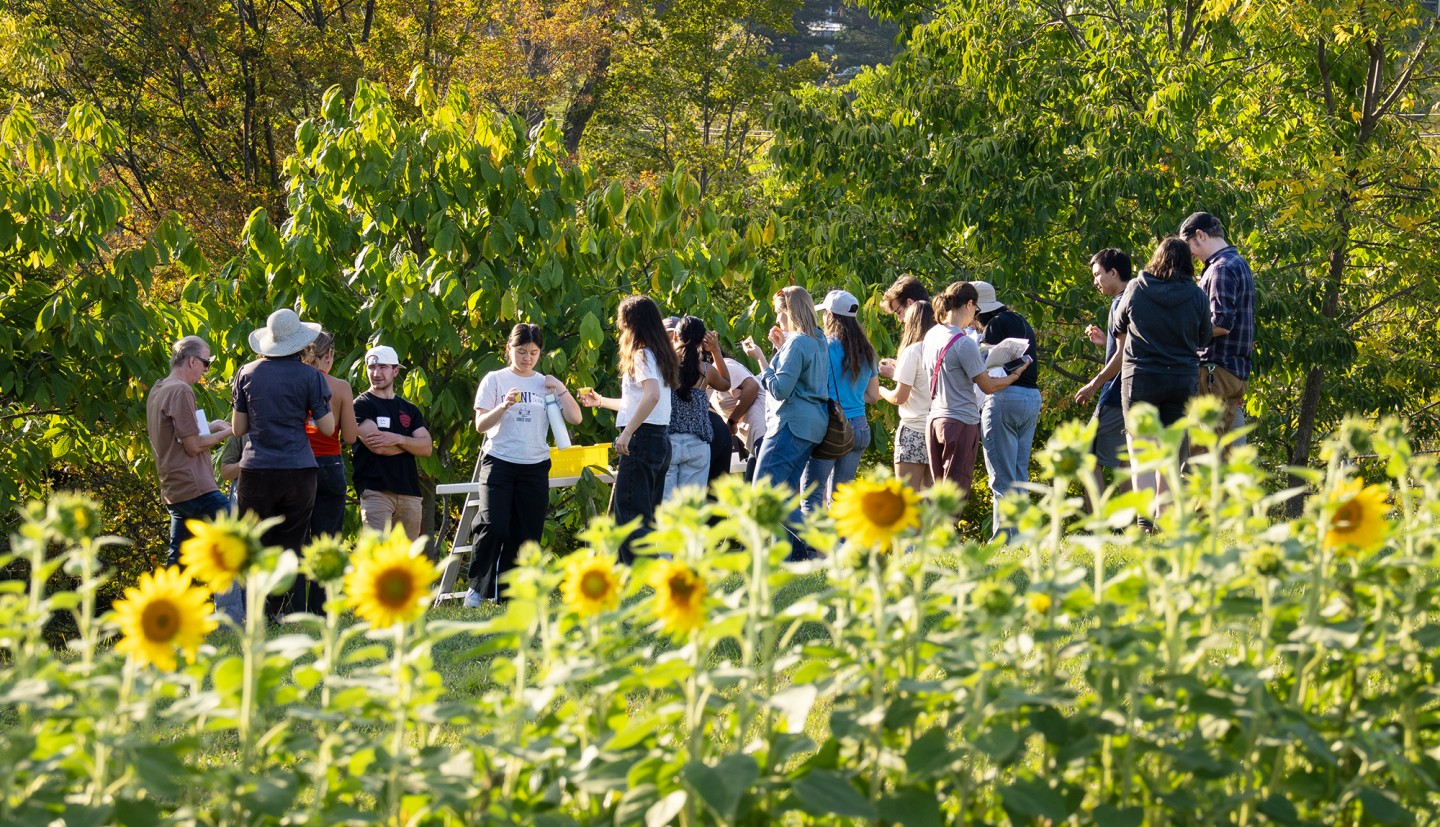 A group of people, trees and sunflowers 