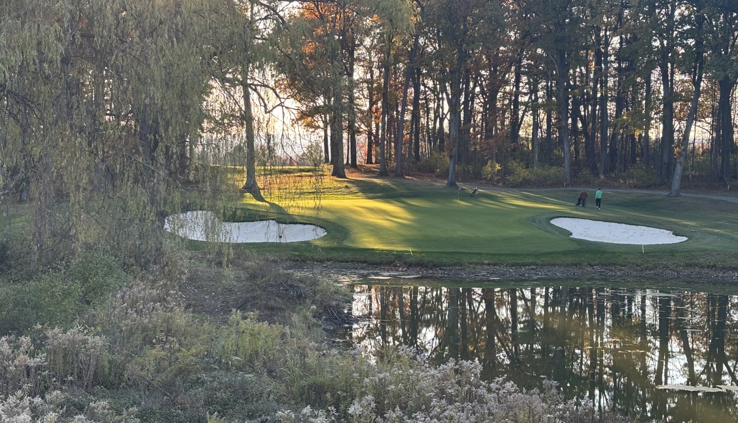A shady green on a Cornell golf course
