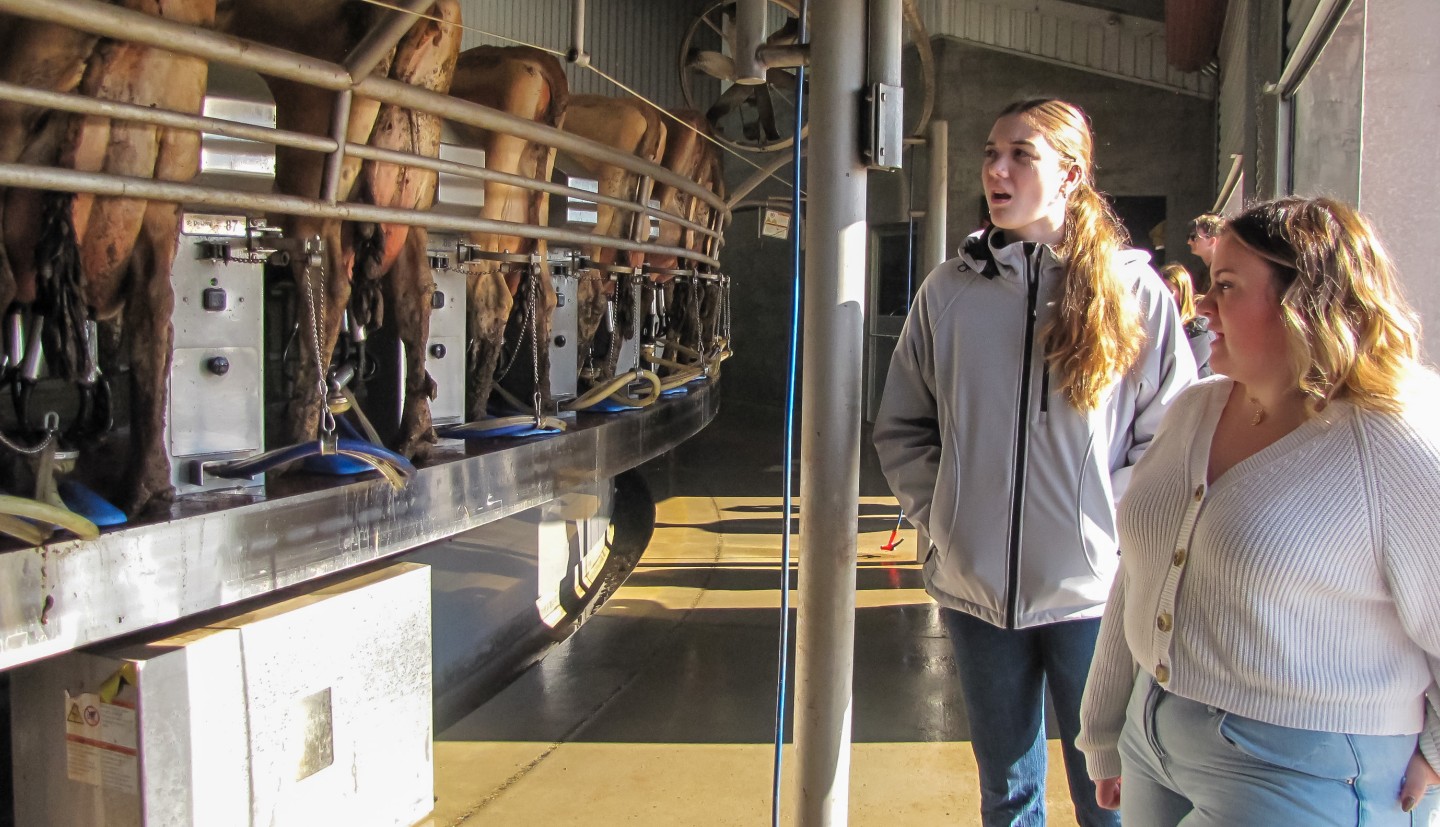 two woman look at cows in a milking parlor