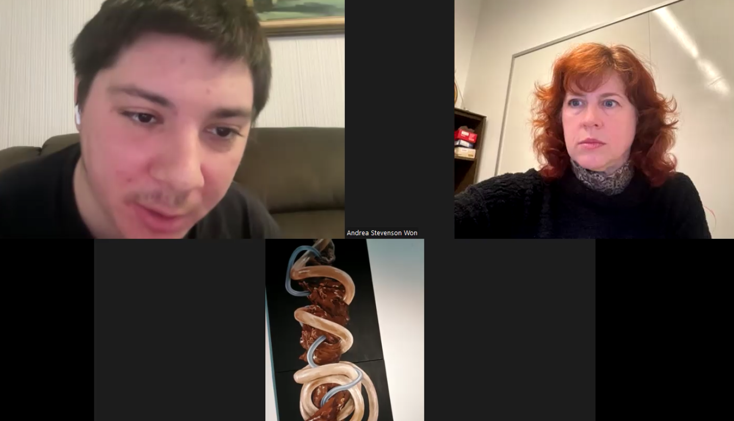 2 individuals on a zoom looking at a piece of art