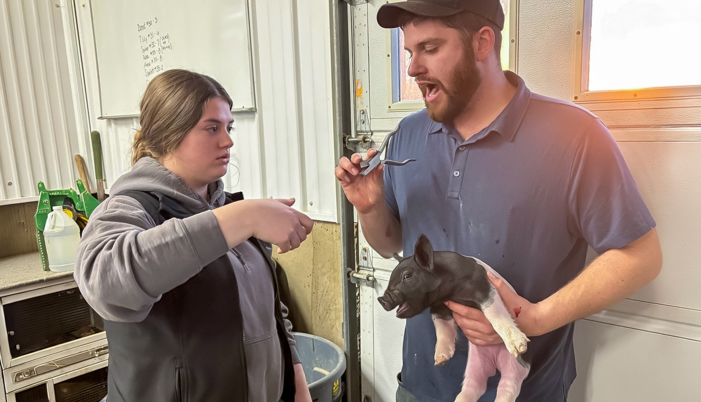 a woman talks with a man who is holding a piglet