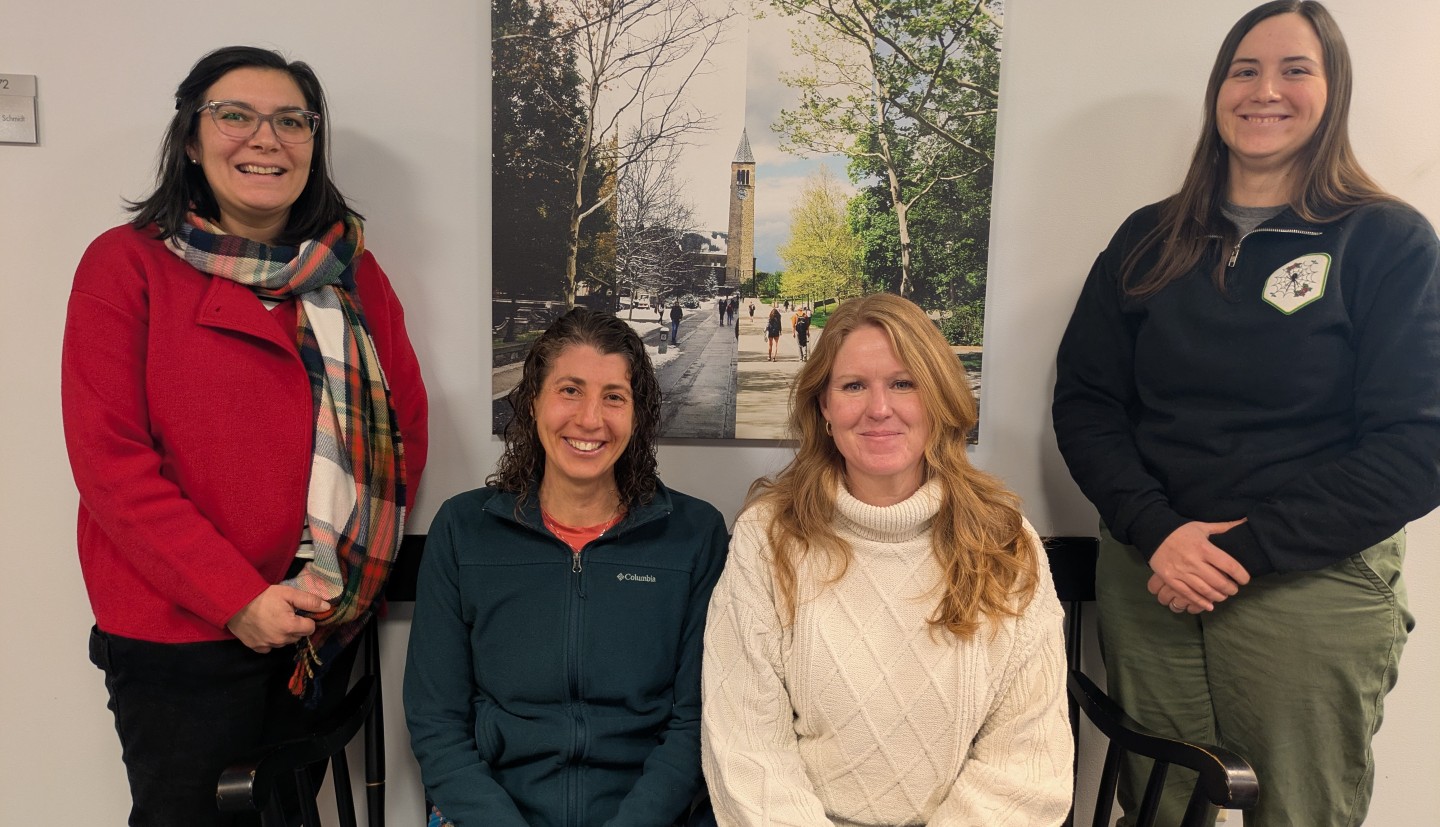 Photo of the four person career team as of February 2026