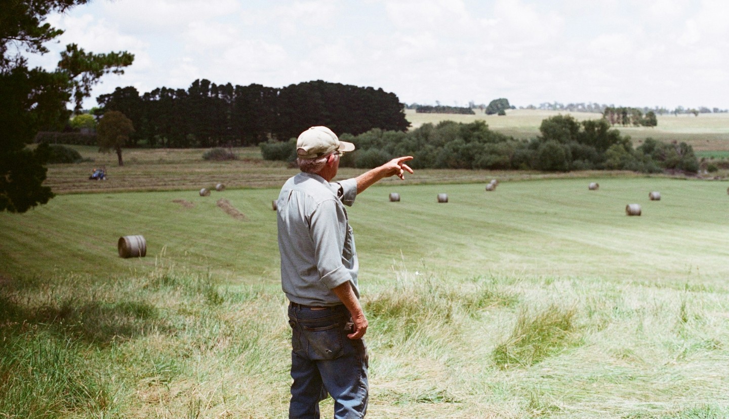 Farmer overlooking fields