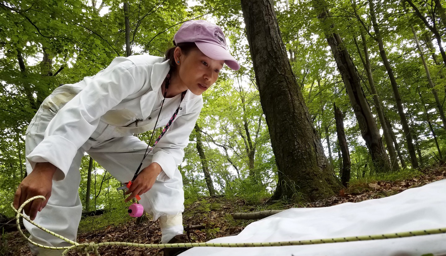 Women in protective gear in the woods