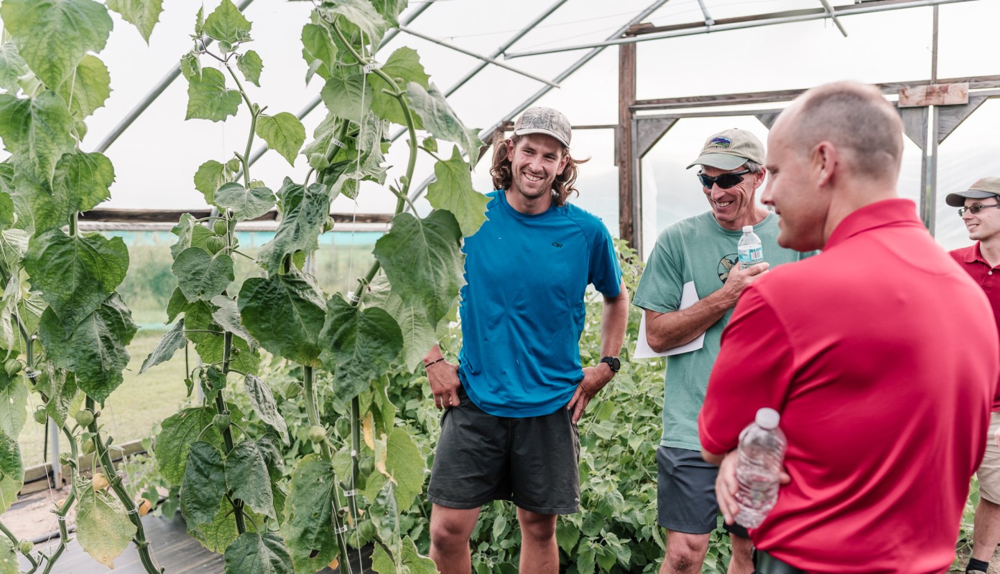 People looking at crops in a high tunnel