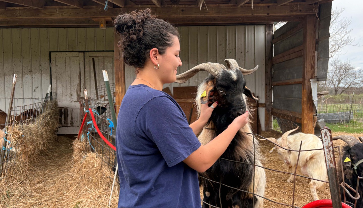 a woman pets a goat 