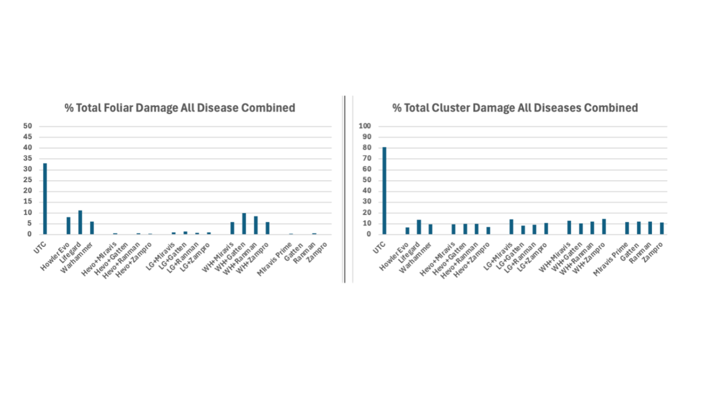 bar charts w/ cluster damage comparisons