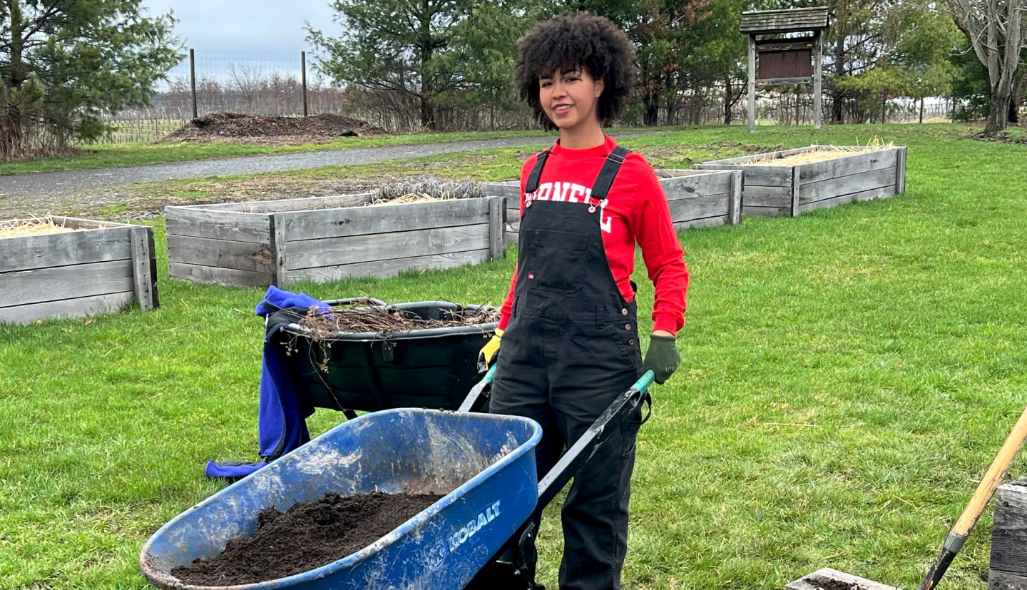 Arroyo-Jefferson with wheel barrow of compost