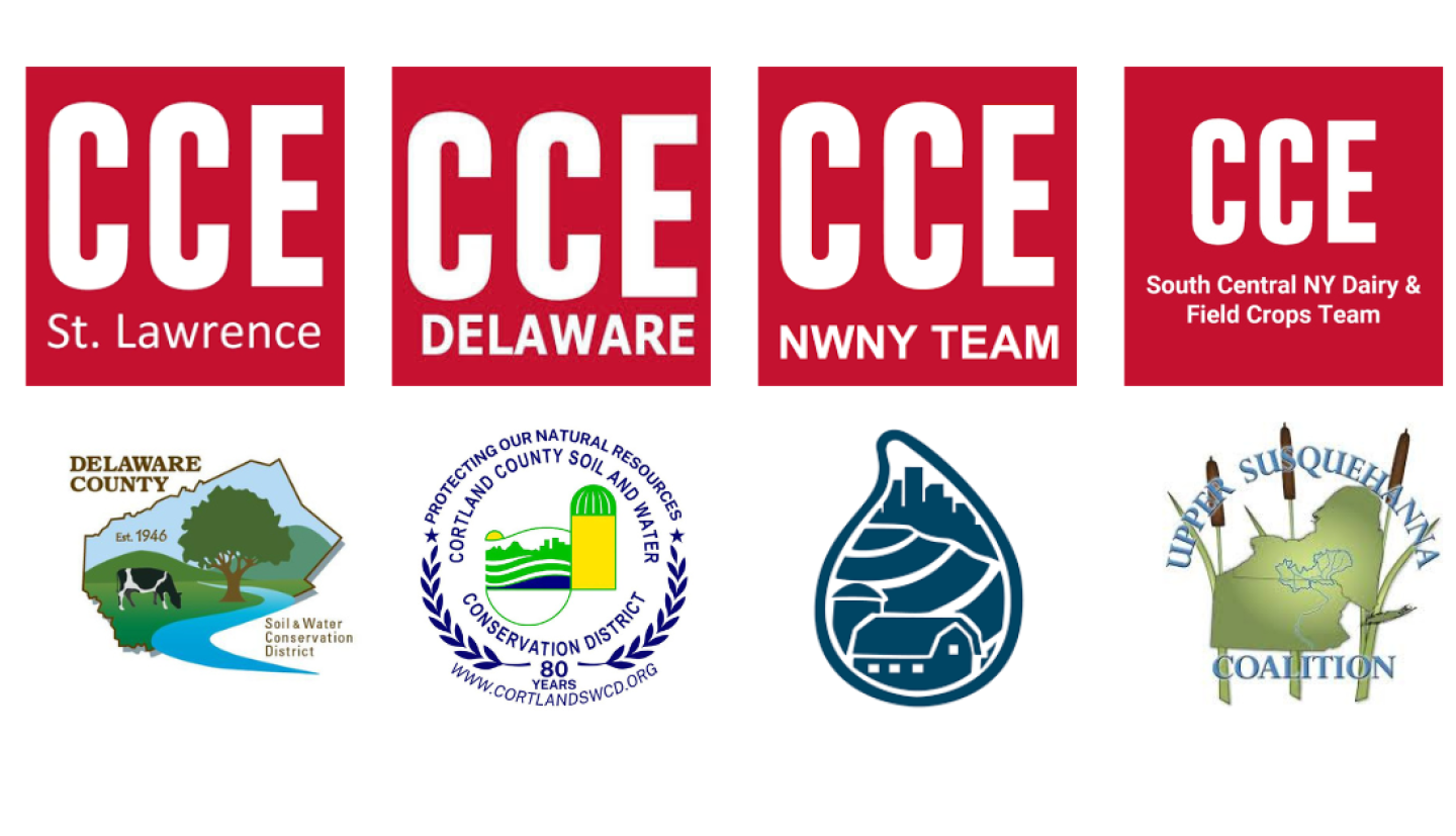 partner and sponsor logos