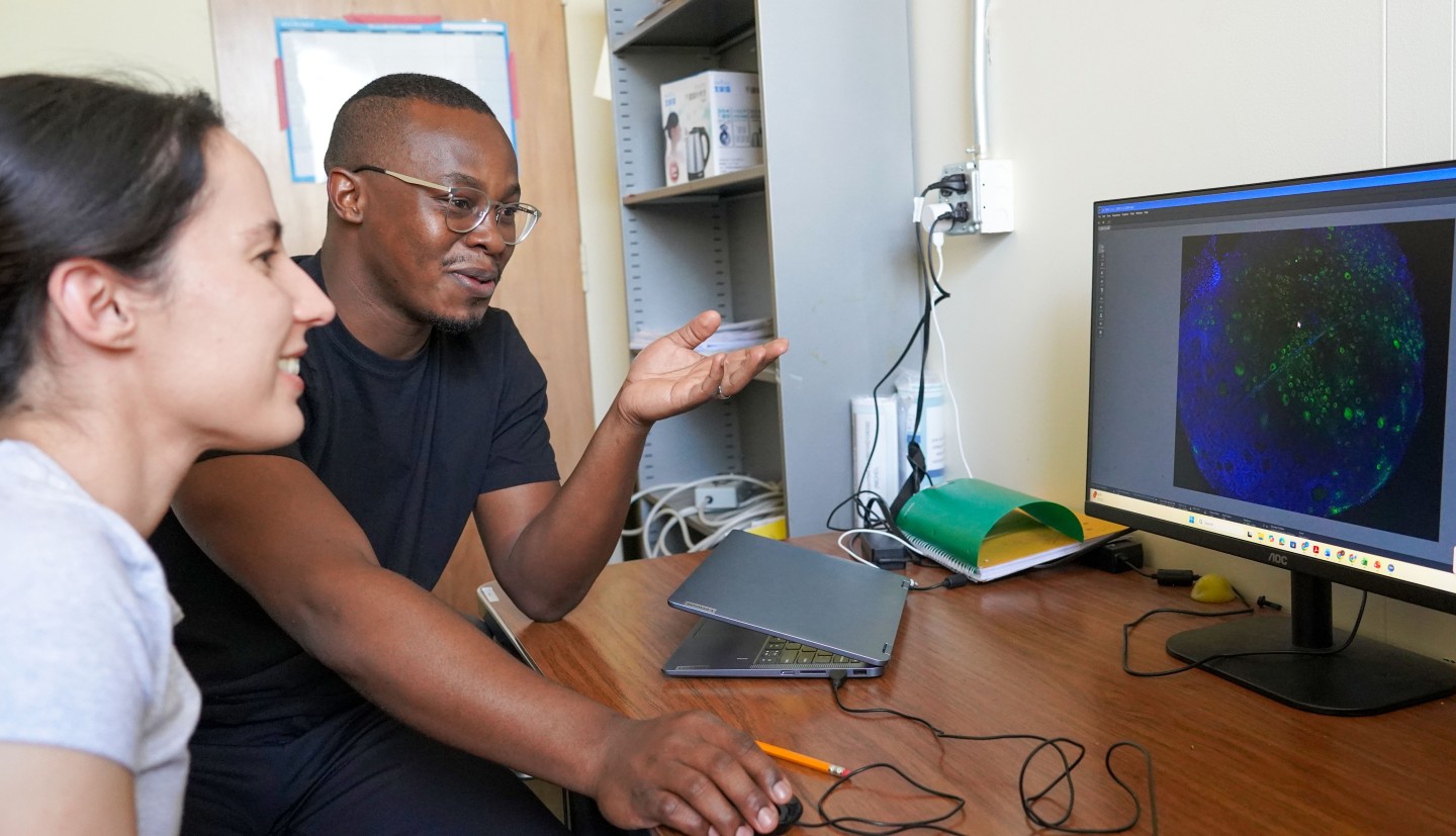 a man and a woman look at an image of cells on a computer screen