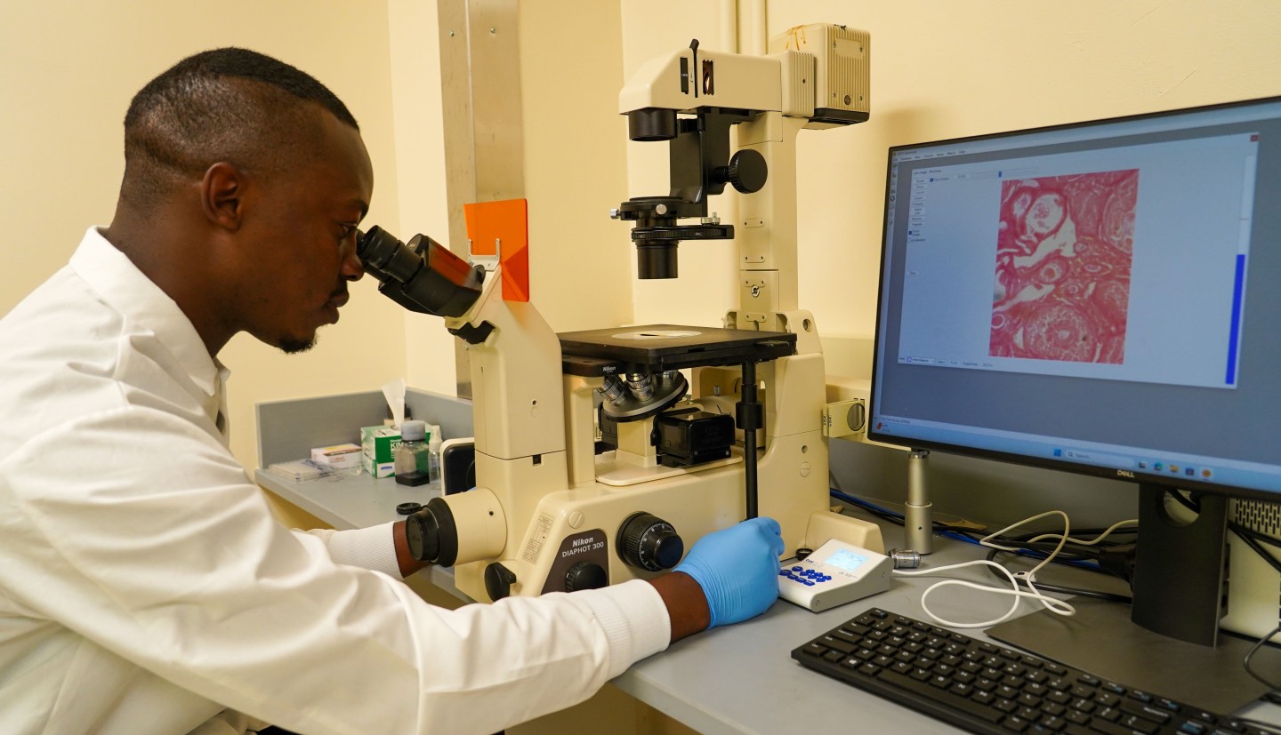 a man looks through a microscope