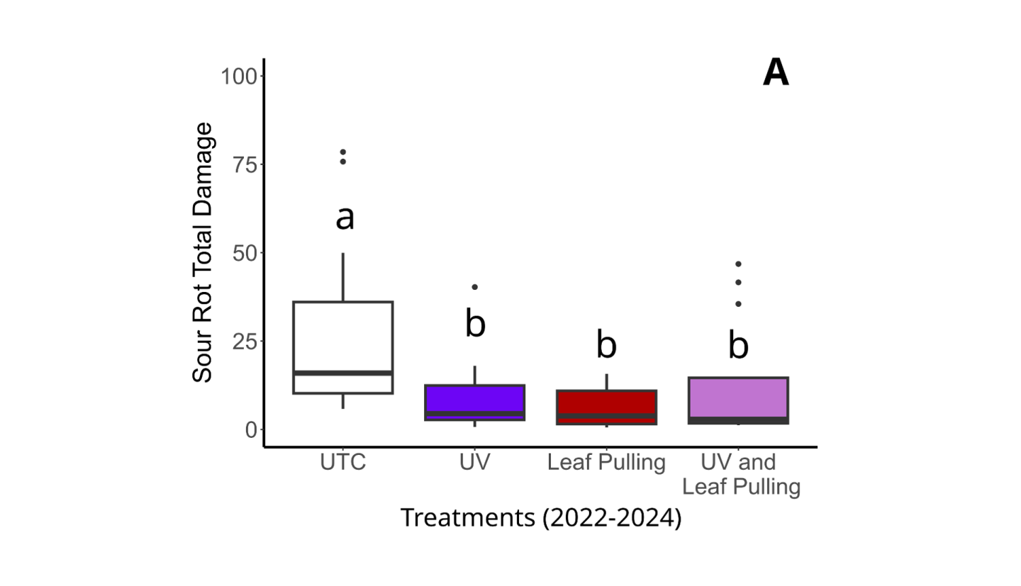 box plots comparing control vs. treatments 