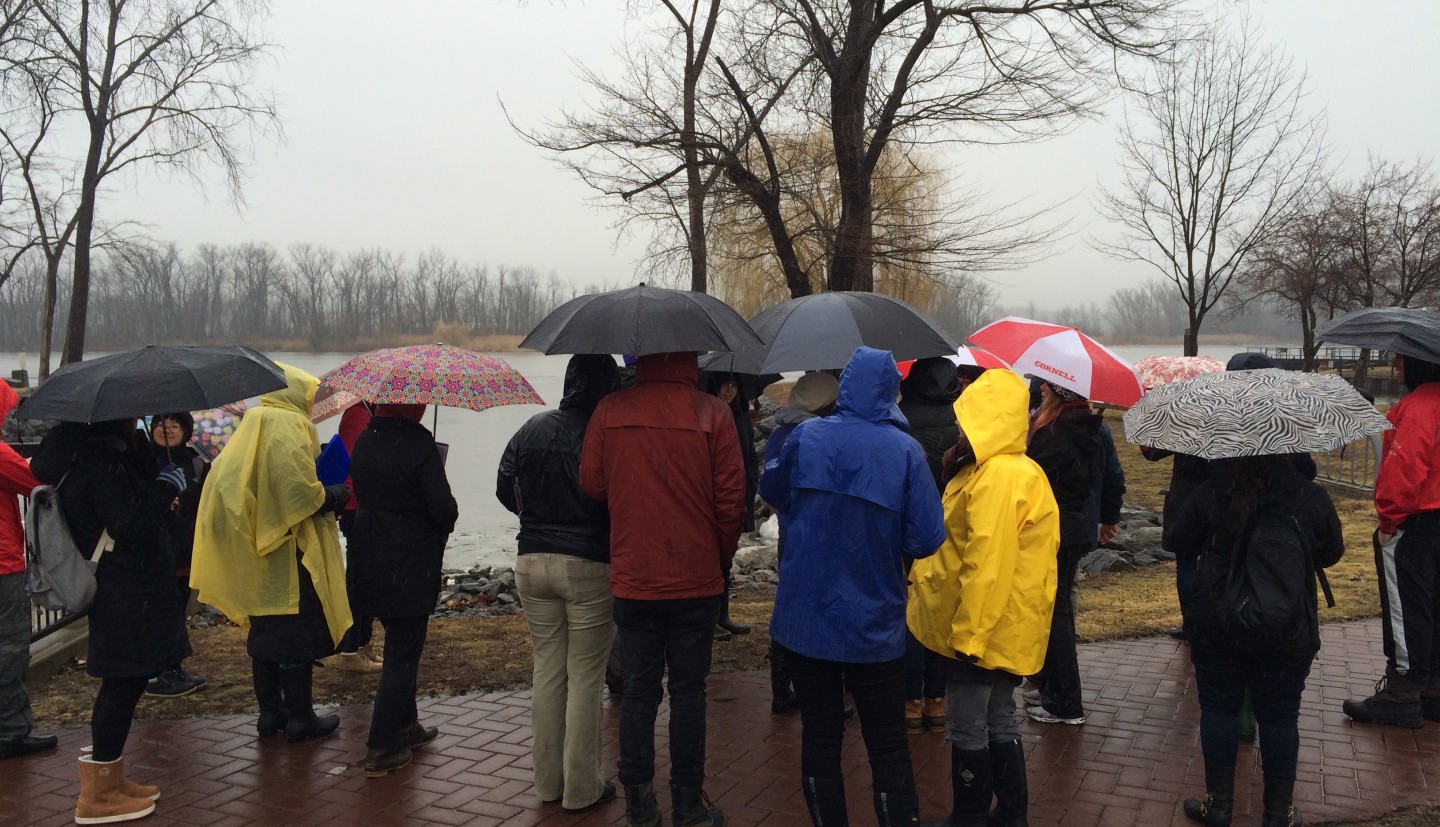 group in raincoats with umbrellas on a rainy day on the Hudson River waterfront
