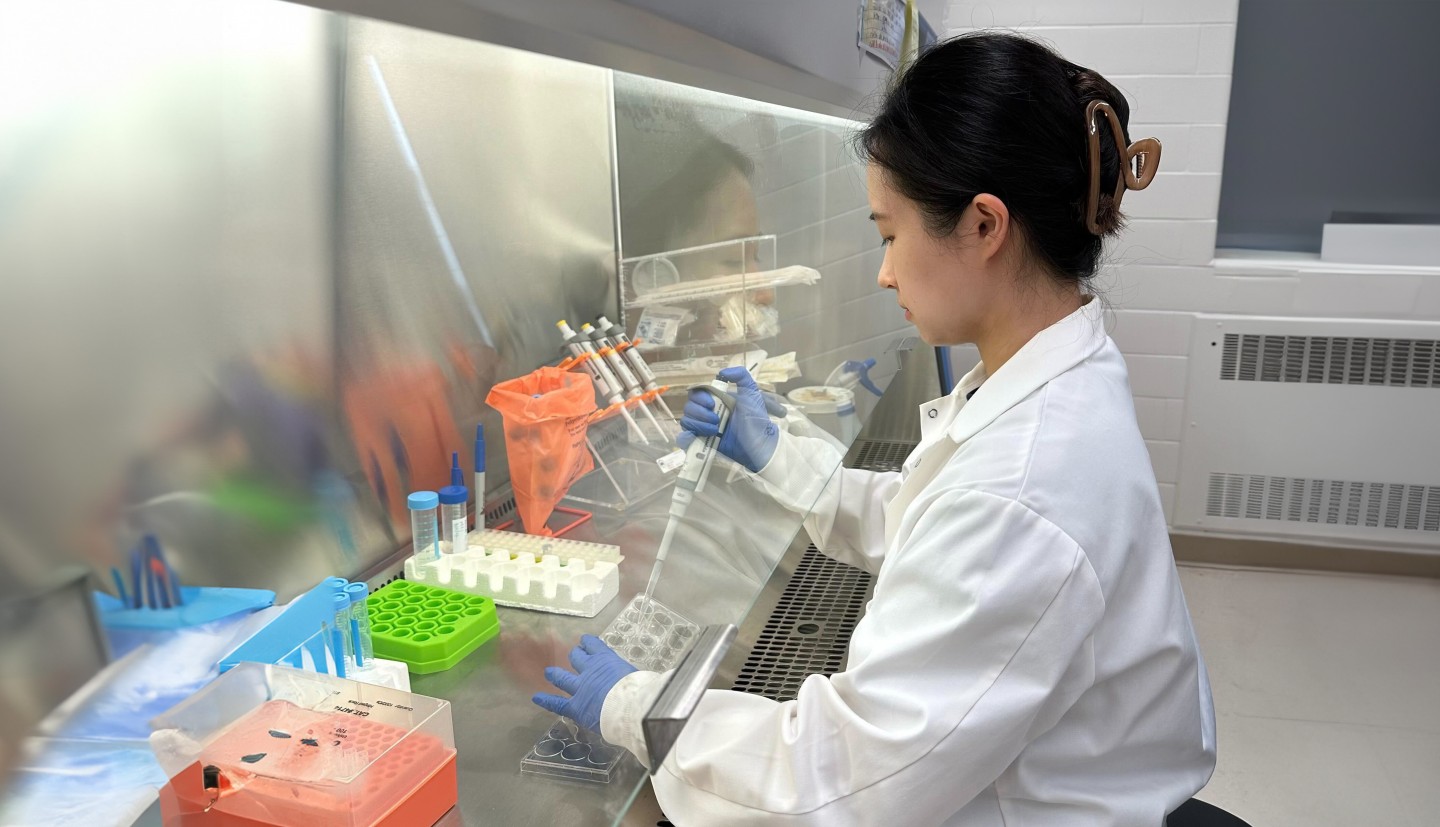 a woman sits in front of a biosafety cabinet using a pipette to put fluid in a cell plate