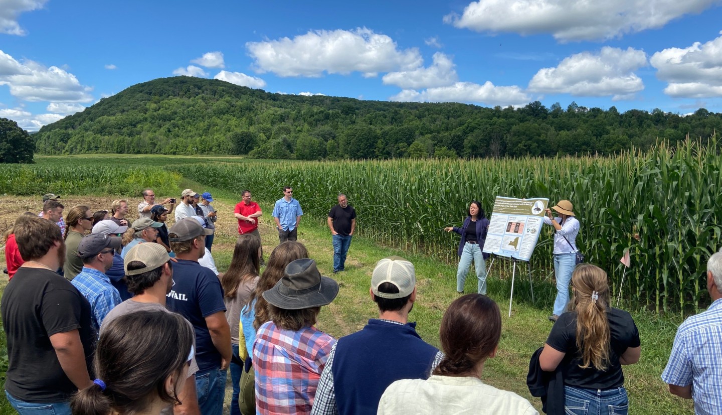 Katja Poveda (right) and her student Chloe Cho (left) presenting in summer 2025 to field crops farmers. The researchers are standing in front of one of the test plots where neonic-treated vs. untreated corn seed is being grown. Credit: Scott McArt.