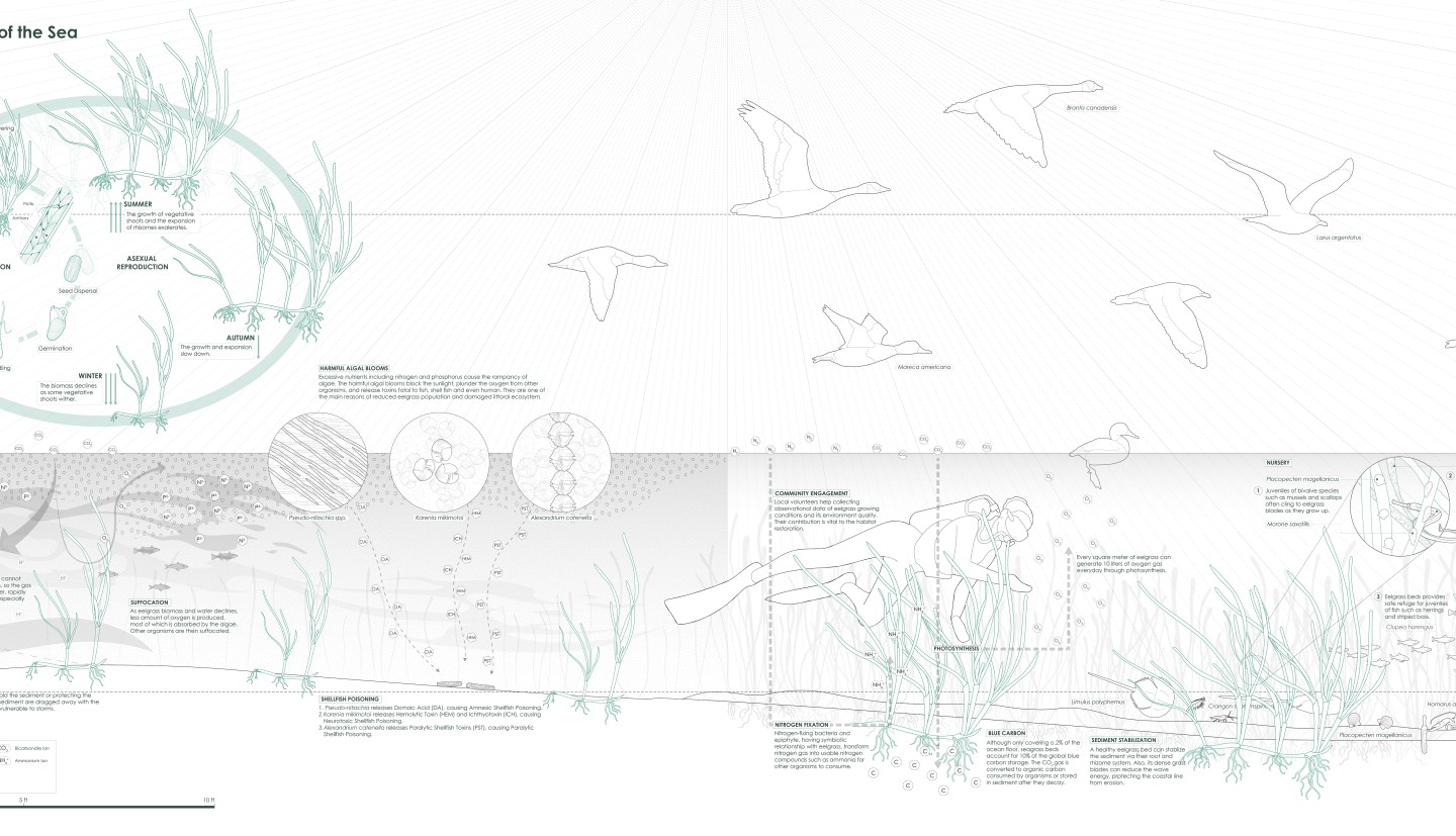 Littoral Futures 2