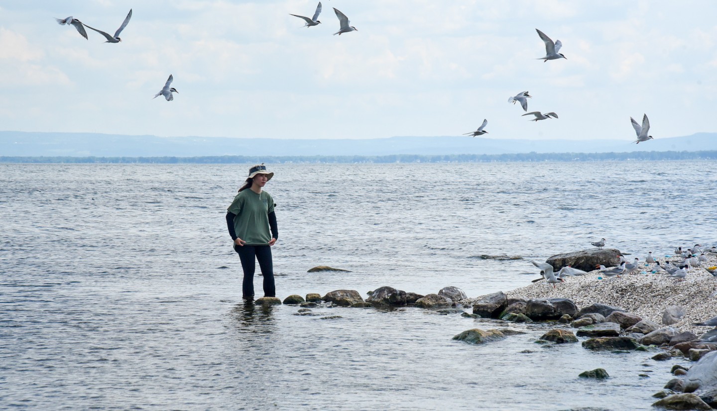 a woman walks in a lake while terns fly around her