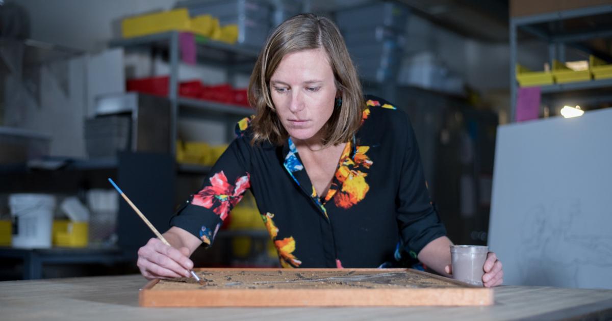 Picture of Palette Earth: global soil painting competition illustrates soil’s ...