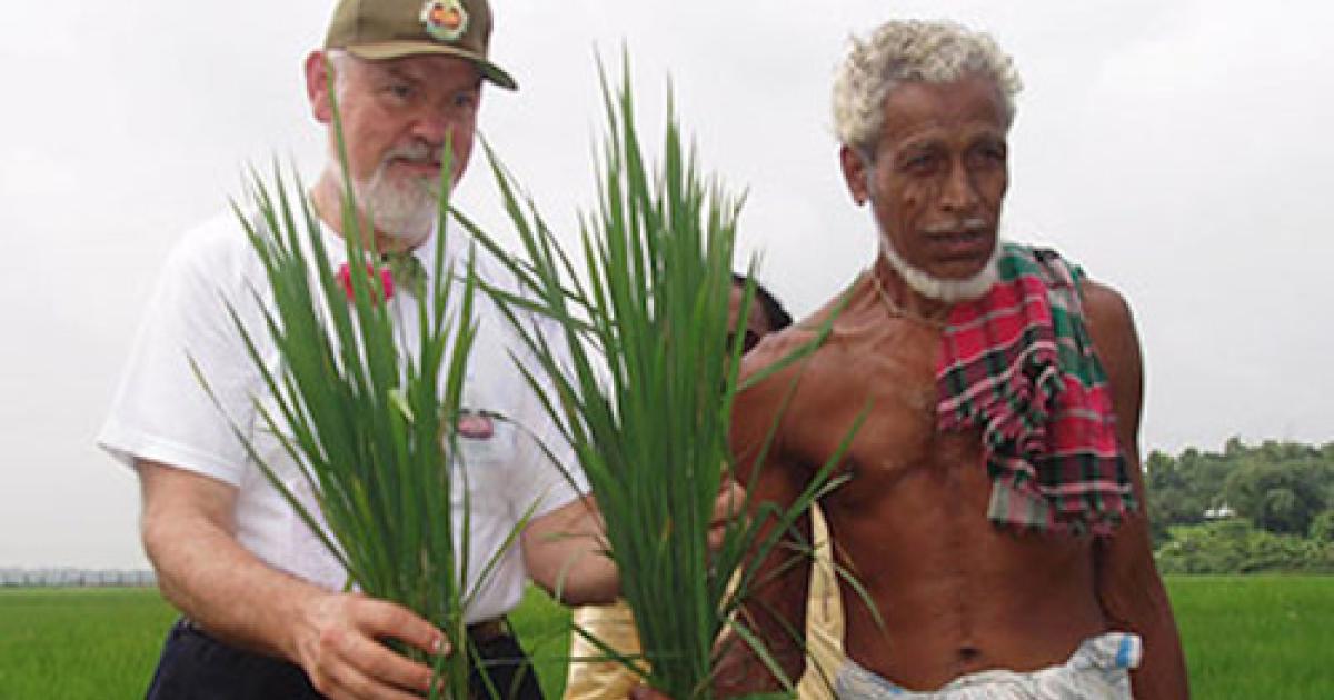 Olam Rice Model System of Rice Intensification earns Olam food security prize | CALS