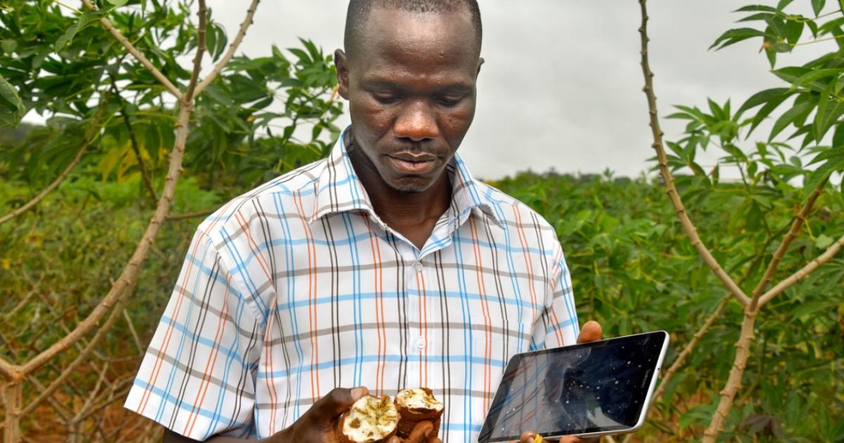 Nextgen Fellows Cals