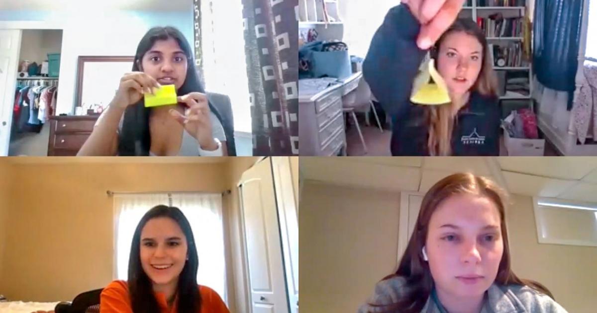 Lab instructors adapt to remote teaching | CALS