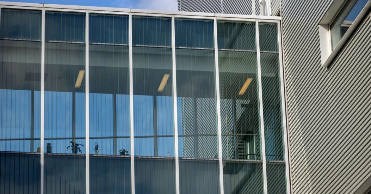 Group works to make campus windows bird friendly | CALS