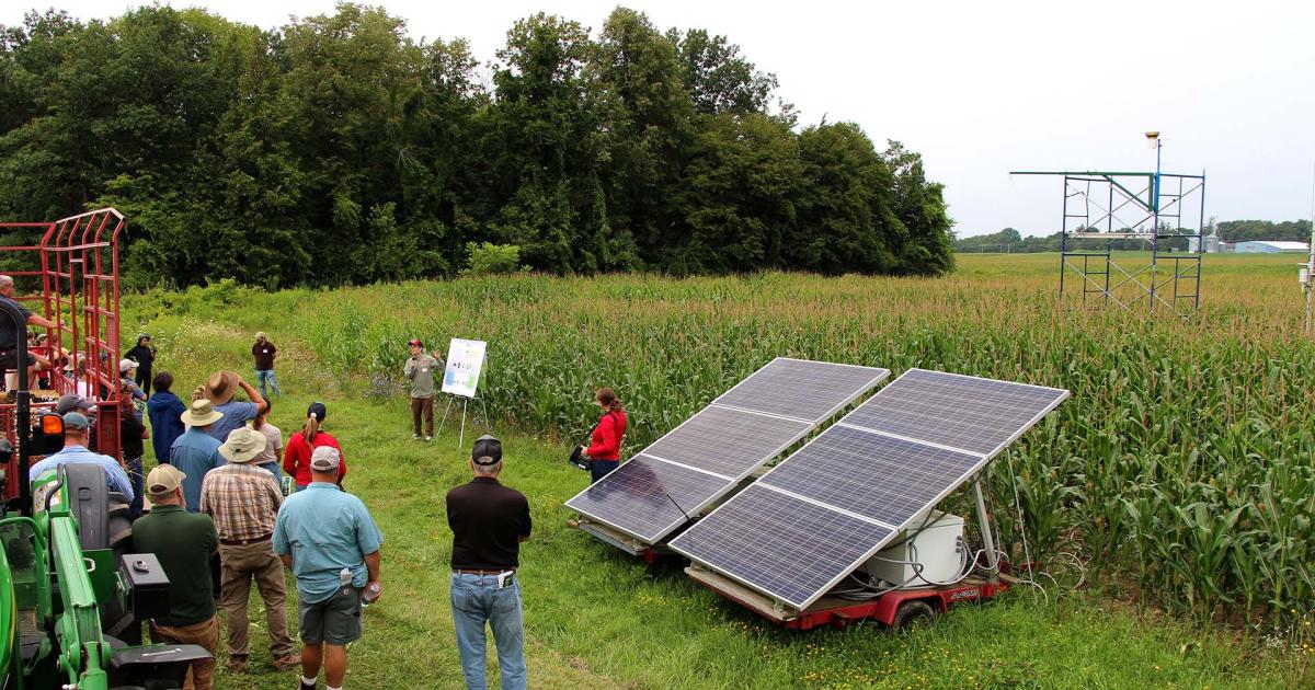 Field day showcases latest crop research CALS