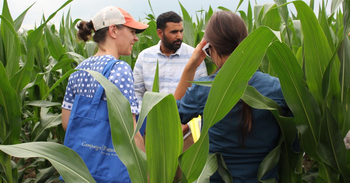 Meet Postdoctoral Research Associate Jasdeep Singh! | CALS