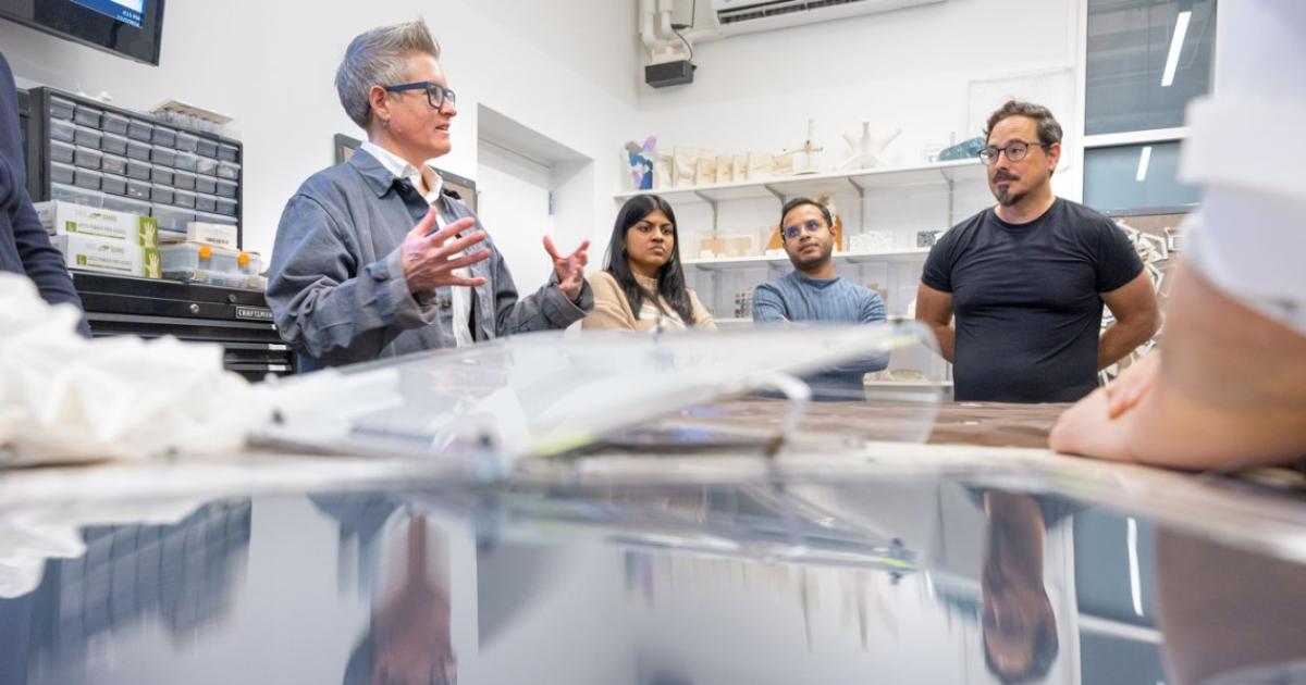 Solar Solutions Bio Inspired Approach Creates Bespoke Photovoltaics Cals