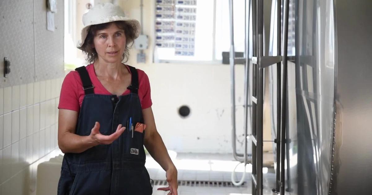 A bright future for dairy sustainability | CALS