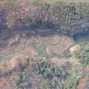 Aerial view of a lake and marsh