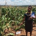 Winnie Nanteza stands in front of a plot of genetically modified corn