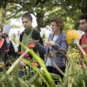 students in Minns Garden with guide