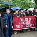 Graduates hold a banner saying "College of Agriculture and Life Sciences"