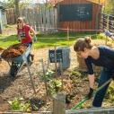 Students working in a garden