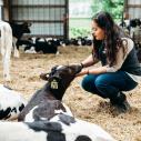 student holds calf head lovingly in her hands
