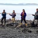 Students hold a piece of giant kelp