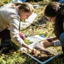 Students work together on research in the field 