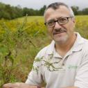 A man holds a plant in a field