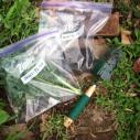 Vegetables in ziploc bags next to gardening equipment