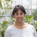 A woman stands in a greenhouse
