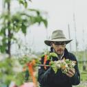 man in hat looking at apples
